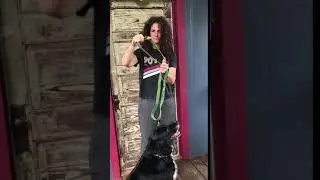 How to Put on an earthdog Hemp Slip Lead: A Short Video Guide from earthdog