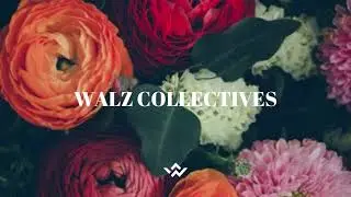[FREE] Guitar Afrobeat Loop Kit (Royalty Free Tems, Burna Boy, Wizkid Type Loops)