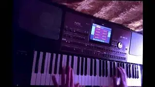 Self Control - Soraya / 80's Disco style KORG PA700