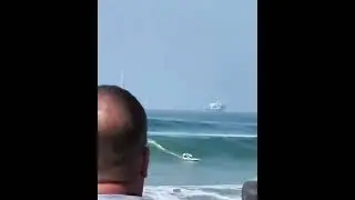 Dog Surfing Contest are So Fun!
