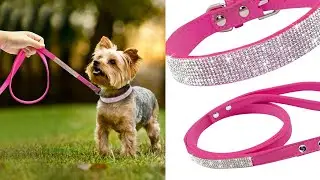 Bling Rhinestone Dog Collars and Leash 🐾 set for Small Medium Dogs
