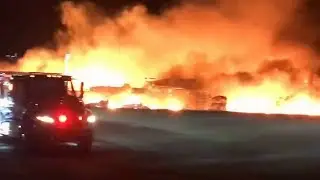 Massive fire destroys lobster processing plant in N.B.