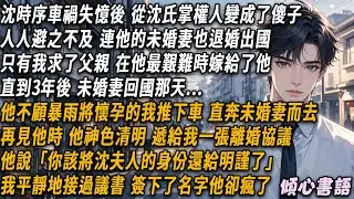 沈時序車禍失憶後，從沈氏掌權人變成了傻子。人人避之不及，連他的未婚妻也退婚出國只有我求了父親，在他最艱難時，嫁給了他直到3年後，未婚妻回國他恢復記憶那天...