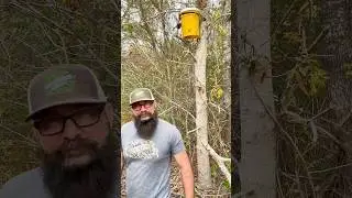 Build Your Own Bee Swarm Traps