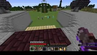Yessir SMP: The Birth of Wendyn.