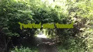 Twisted vine tunnel (official visualizer)