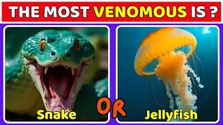How Good Is Your Knowledge About Animals? 🦁🐒 Fun Animal Quiz Challenge | Fastest & Strongest Animals