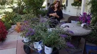 Shrub Haul and Planting! 🌿// Garden Answer