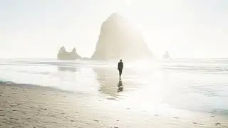 The Risen Jesus Meets His Disciples.  Welcome to New Vine Online!