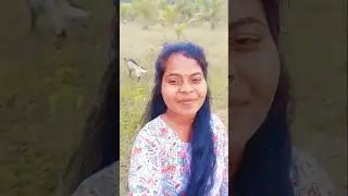 Dil deke pyar karke#youtube#trading#song#short video#nagpuri song#viral video#status video#old  song