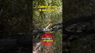 Ciclista cade nei rovi: bestemmia e smadonna per il dolore