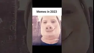Memes 2025 vs 2023