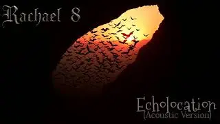 Rachael 8 - Echolocation (Acoustic Version)