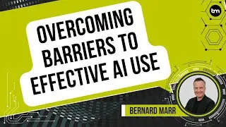 Overcoming Barriers to Effective AI Use