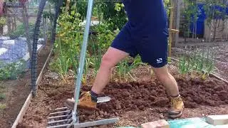 Modified Broadfork breaking up some pretty hard clay soil.