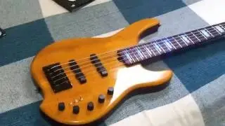 Review .Bass F.Lisboa (Luthier Brasileiro ) Detalhes do Baixo