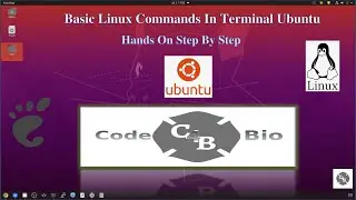 Basic Linux Commands - Ubuntu Terminal