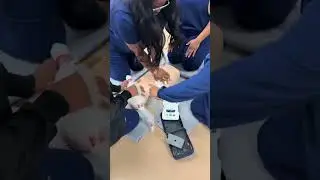 Teamwork in CPR Training: Students Learning Together