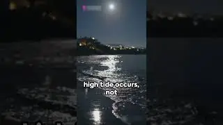 The Tides: How the Moon's Gravity Influences Earth's Oceans #facts #moon #gravity #shorts #universe
