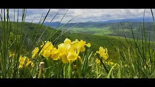 Wąwóz Turda - Rumunia