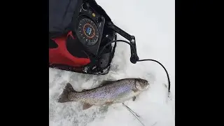 Hardwater fishing and more