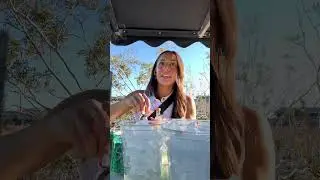 Transfusion or Water Hazard? 🌊🍇🍹 #golf #golftiktok #drink #transfusion #waterhazard #vegas