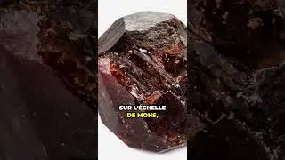 LA DRAVITE