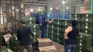 UD JAYA REJEKI grosir buah import & lokal pasar induk Cibitung Bekasi blok D no 12
