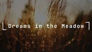 Dreams in the Meadow: Wind-Kissed Grass and Gentle Crickets