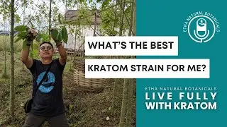 WHAT&rsquo;S THE BEST KRATOM STRAIN FOR ME?