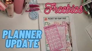 Planner Update: Track Your Cash & Plan for Unexpected Expenses | #cashstuffing | Freebies