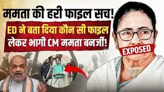 Inside the ED Allegations Against Mamata Banerjee | Coal Scam, I-PAC Raid & Federal Clash #shorts