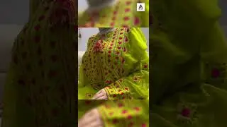 Эскизы костюмов для вышивки синдхи ручной работы | Синдхи Кадай | Платье синдхи.#sindhiwork #шорты