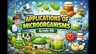 Applications Of Miro Organism