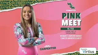 William & Mary vs Fisk Women's NCAA Gymnastics