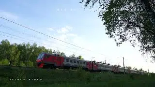 ЛЕСНЫЕ ПТИЦЫ   МАЙ 2025
