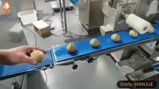 HANJUE Big Coxinha making machine
