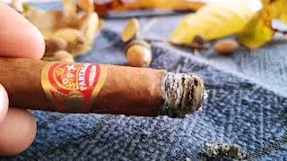 Partagas Aristocrats Zigarren Review