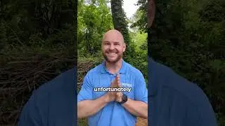 Learn About Different Tick Species #shorts