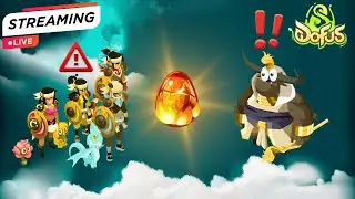 DOFUS POURPRE B'DARIJA - [TEAM ZERO X HERO]