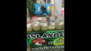 billionz kush @ godzillaa stall  #thailand #kohsamui #island #weed #kush #bigsmoke #high #market