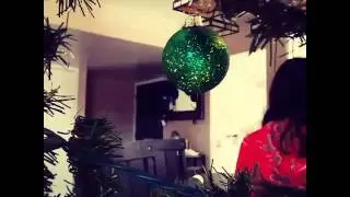 Christmas with the Fregoso family.