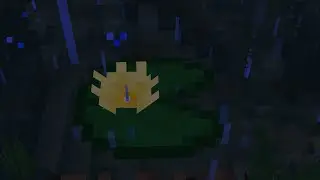 ALTTD BAYOU
