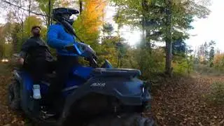 Forest360