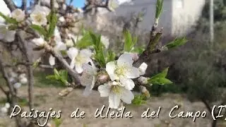 Paisajes de Uleila
