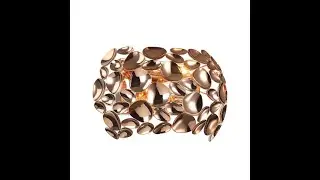 Настенный светильник Favourite Gittus 2013-2W