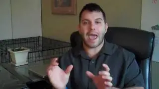 Martial Art Business Coaching