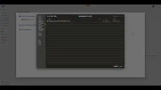 Activity Export / Import