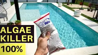 Drytec Pool Shock - BEST EVER - Crystal Clear Water