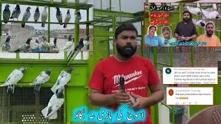 Asooj Ki Bazi Na Lagaon Kabootar Zaiya Hu Jai Gey 😓